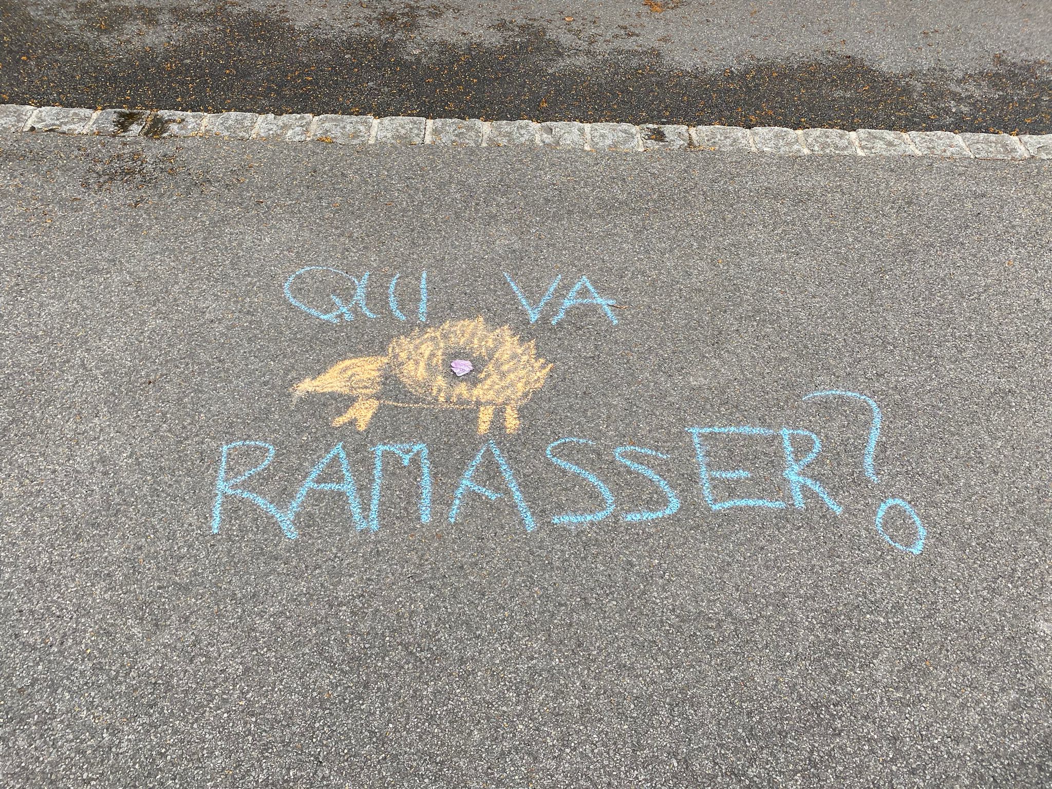 Photo 1 en JPG
