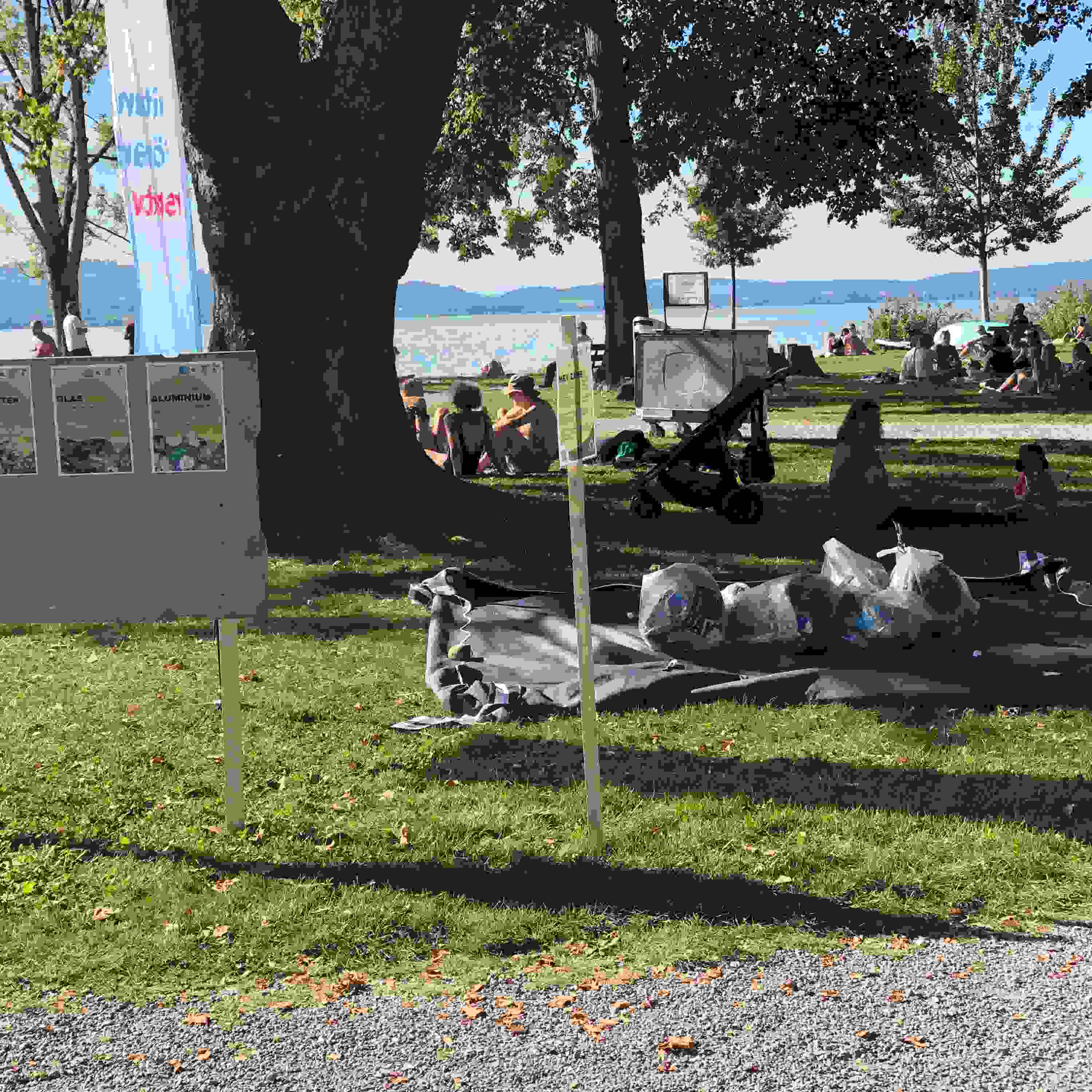Sempach 2