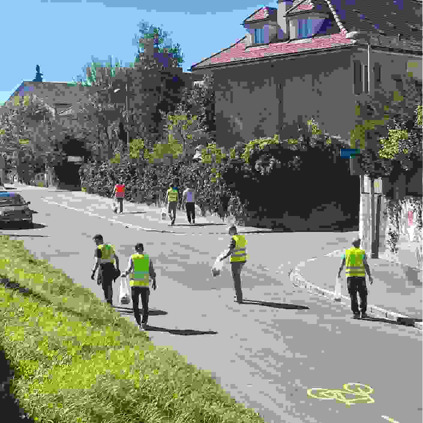 Bern Mosaik 1